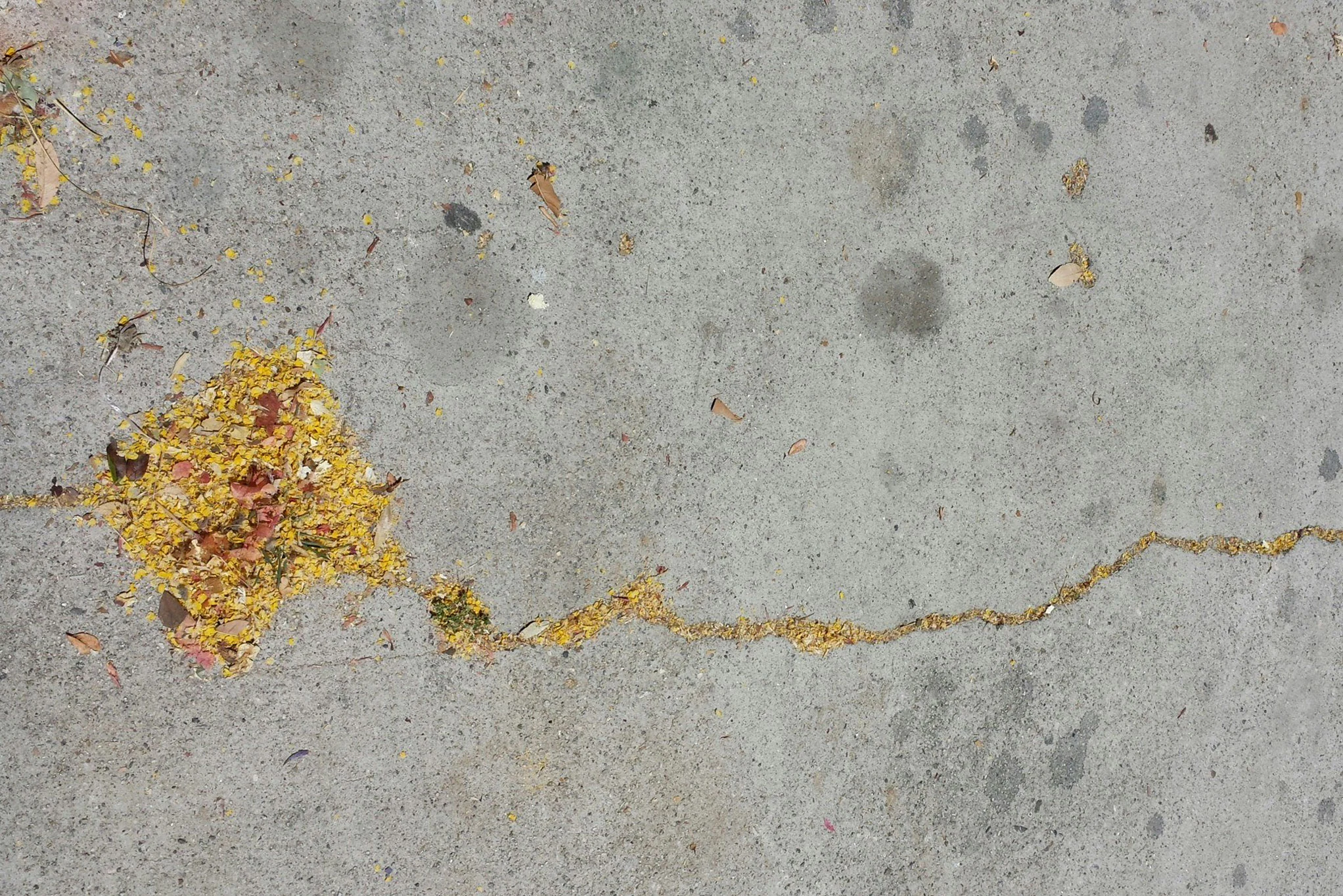 Matcha Box — Los Angeles, California photograph 2